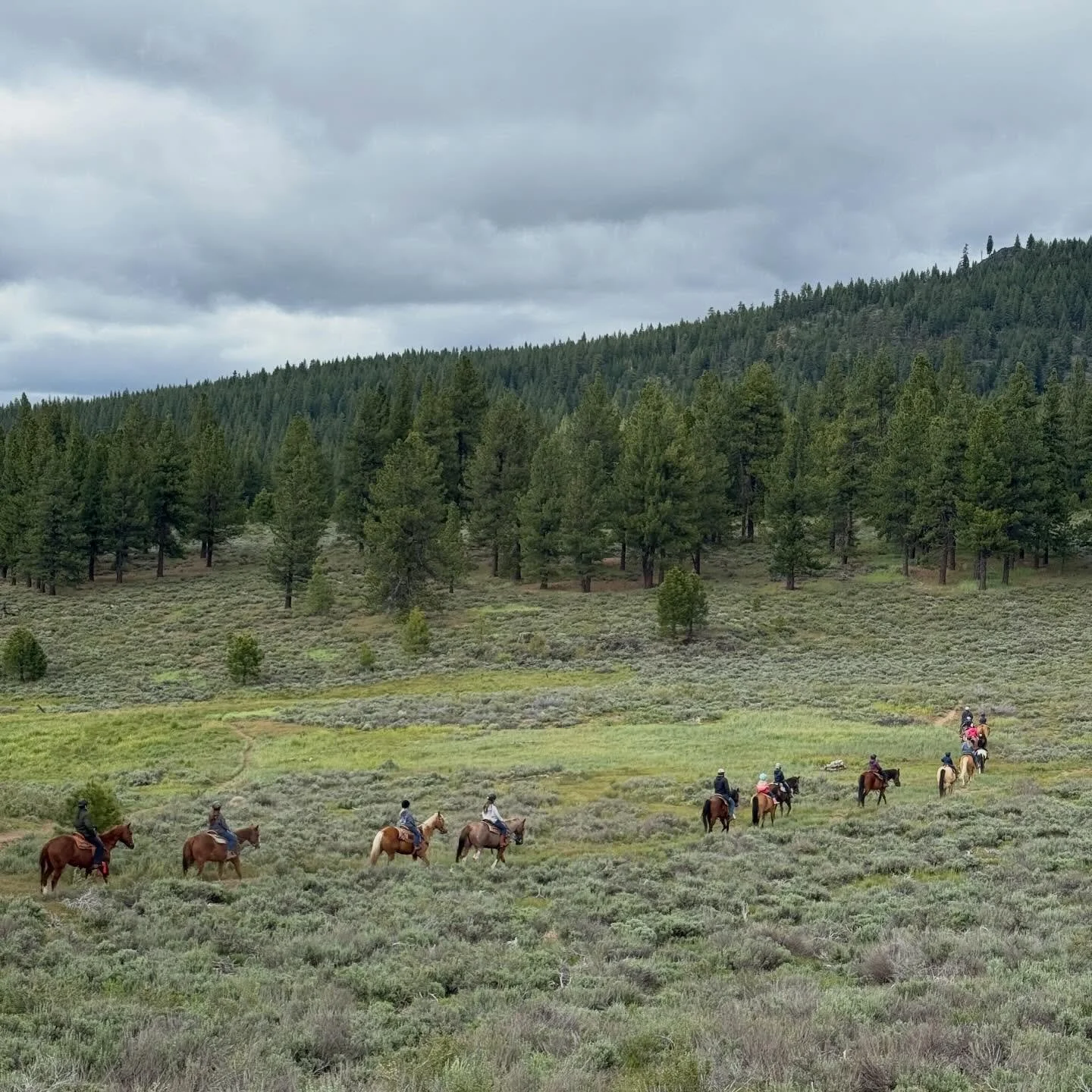 From Arena to Adventure!

What a way to wrap up our spring season of our Tahoe Horse Kids program&mdash;with a beautiful trail ride through the Tahoe backcountry!

Over the course of this session, these riders have worked hard building their horseman