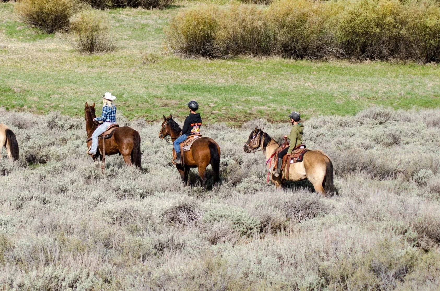 PREC Marketing (18 of 42).jpg