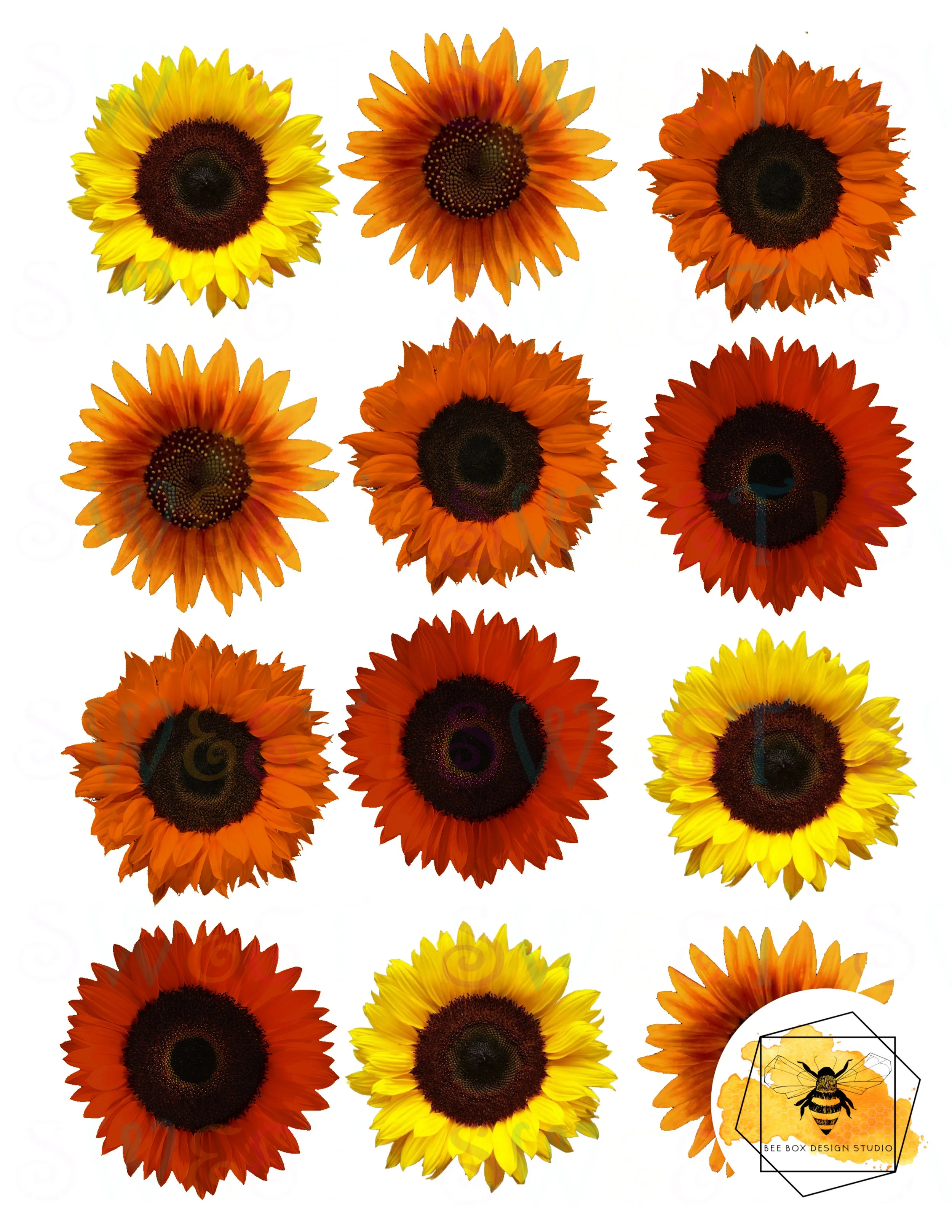 Fall Sunflower sheet.jpg