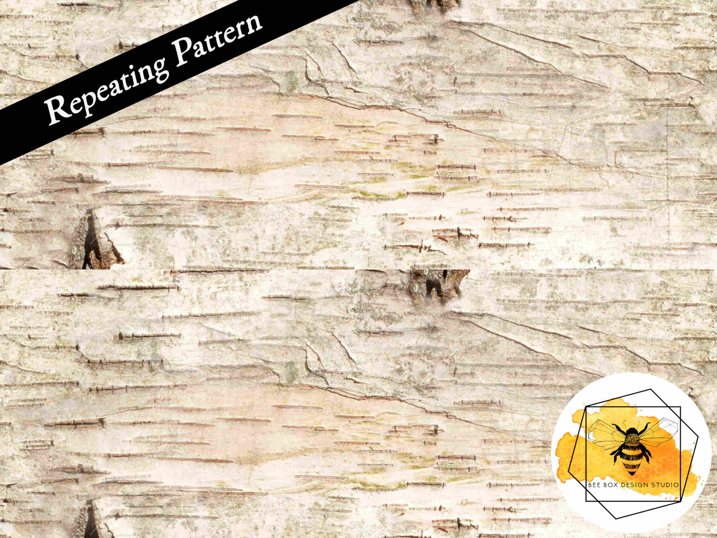 Birch.jpg