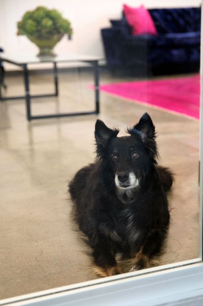 Marbles hard at work in the Kearny Point office