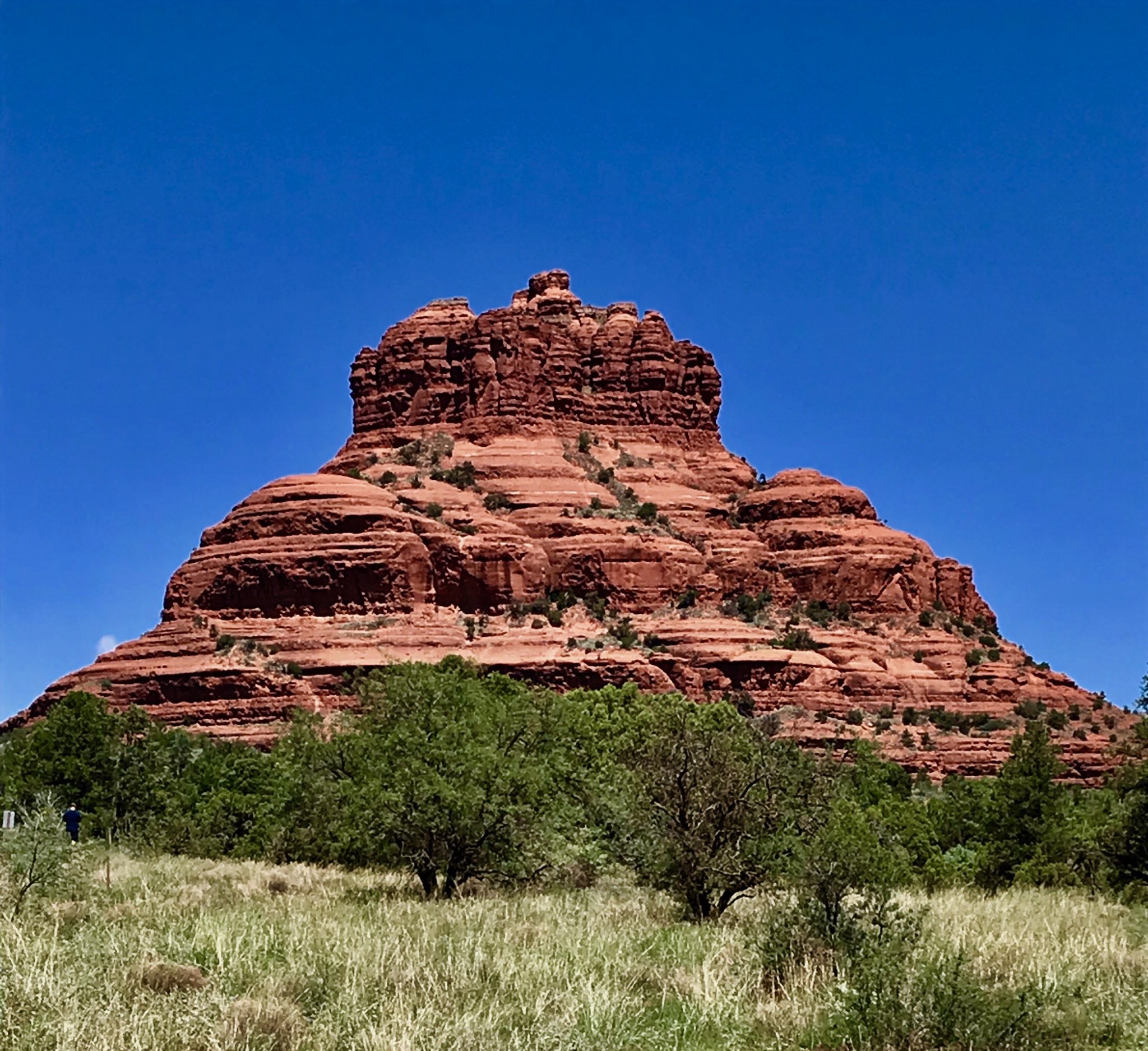A photo of the gorgeous Cathedral Rock in Sedona, AZ that Iris took on her anniversary trip.
