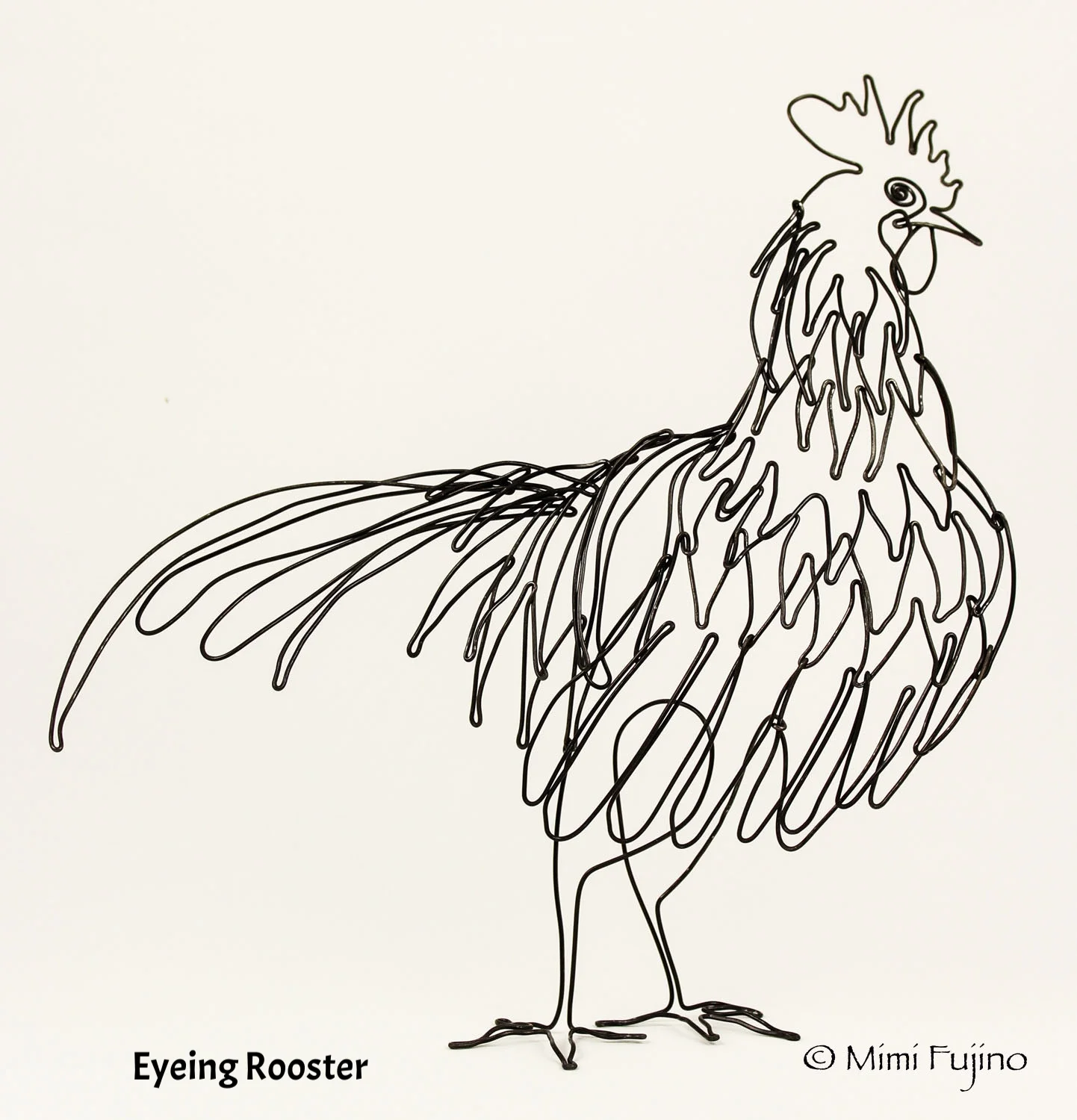 eyeing roosterweb copy.jpg