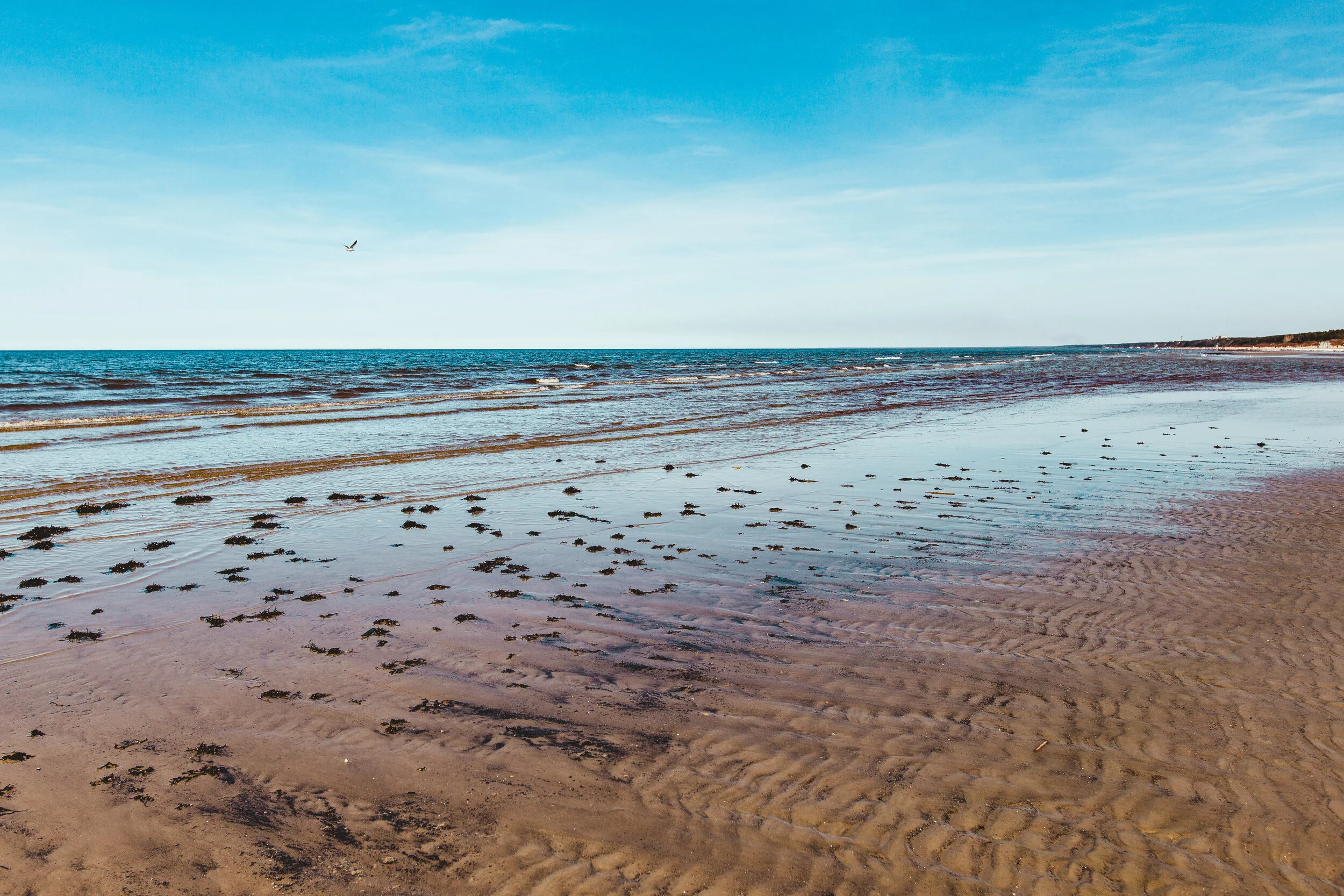 beach-balticsea-full-size-1.jpg