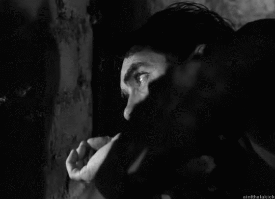 Rawhide (1951)