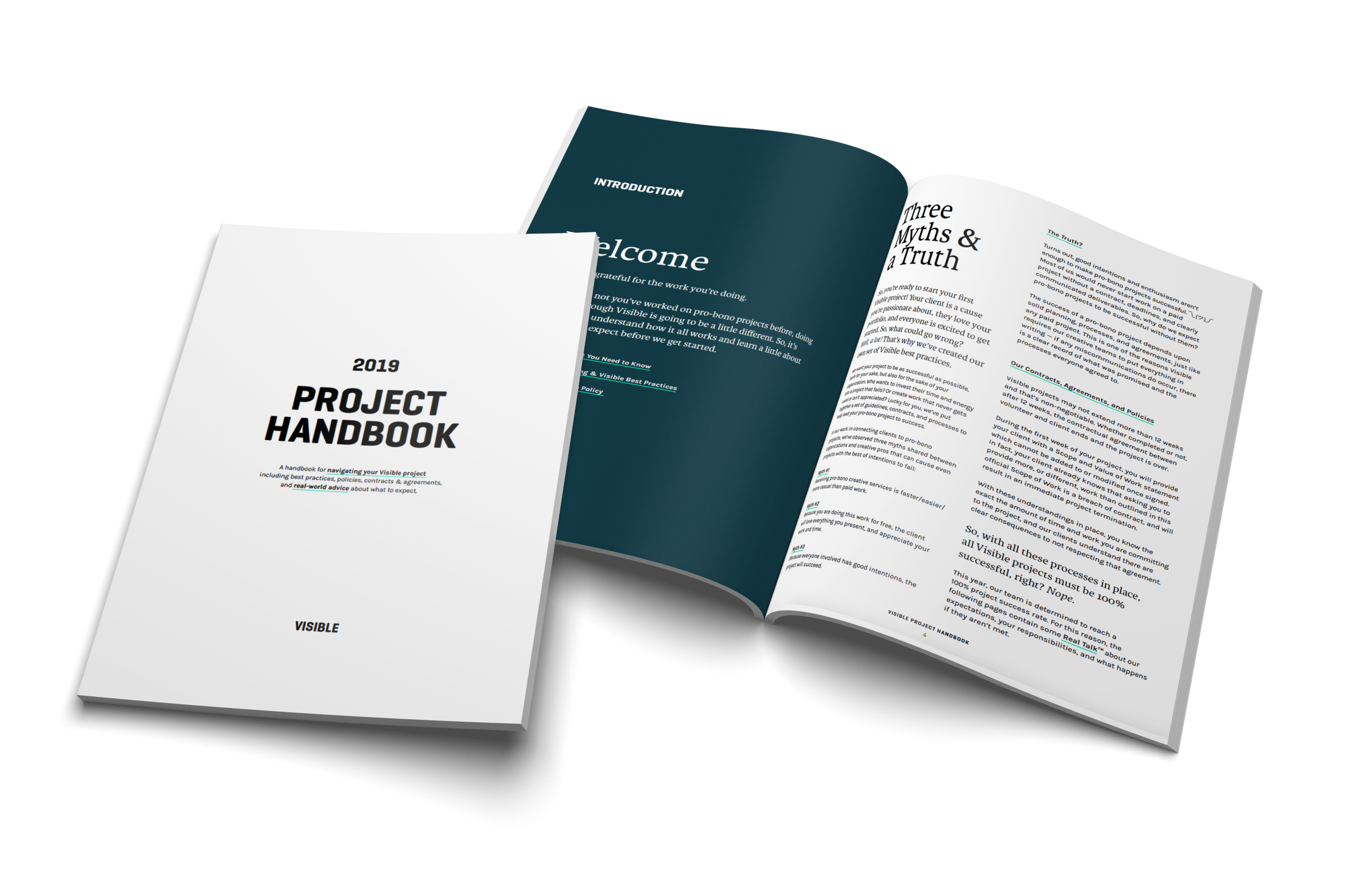 Project Handbook (for volunteer pro-bono work)