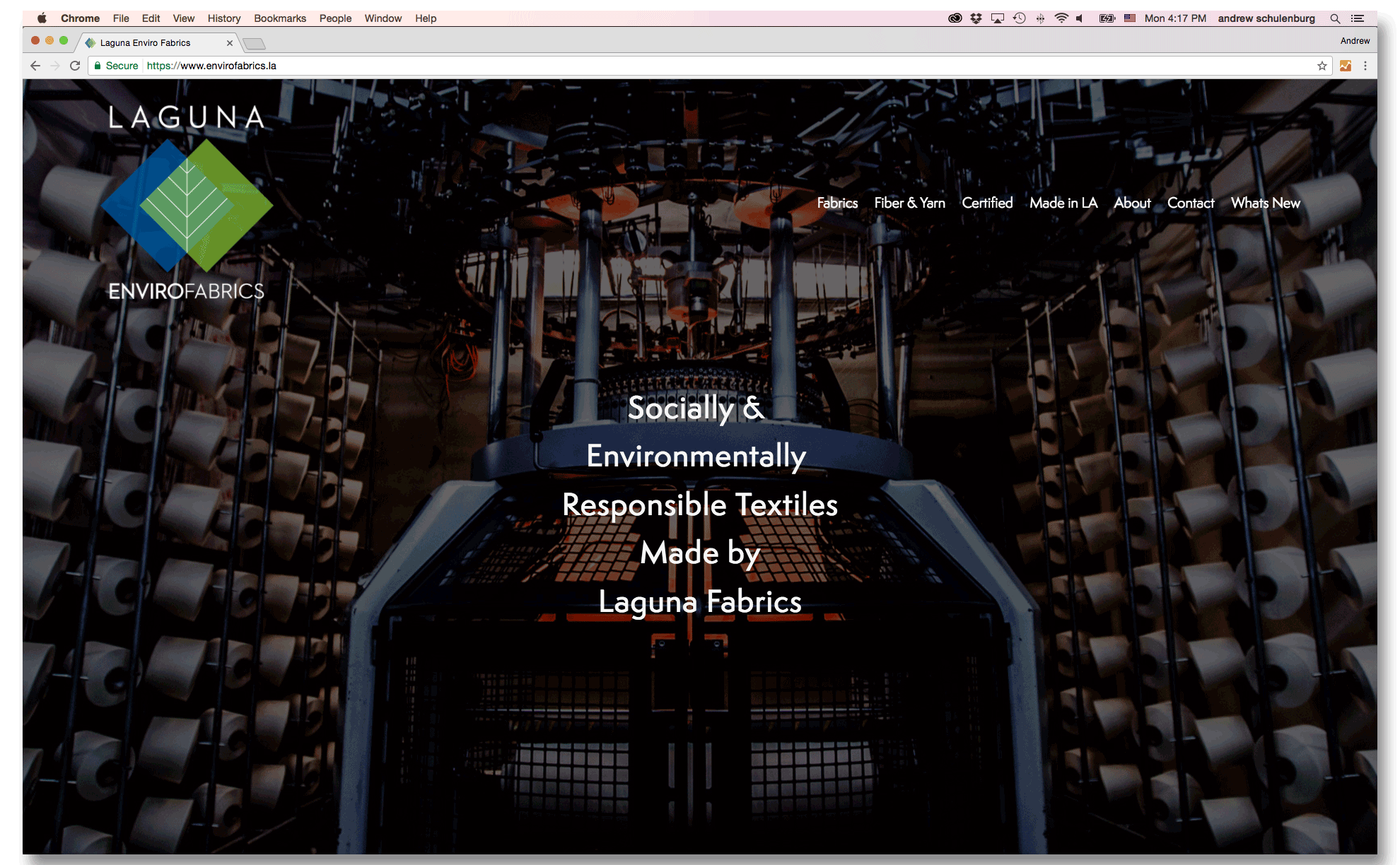 EF-website-desktop.png