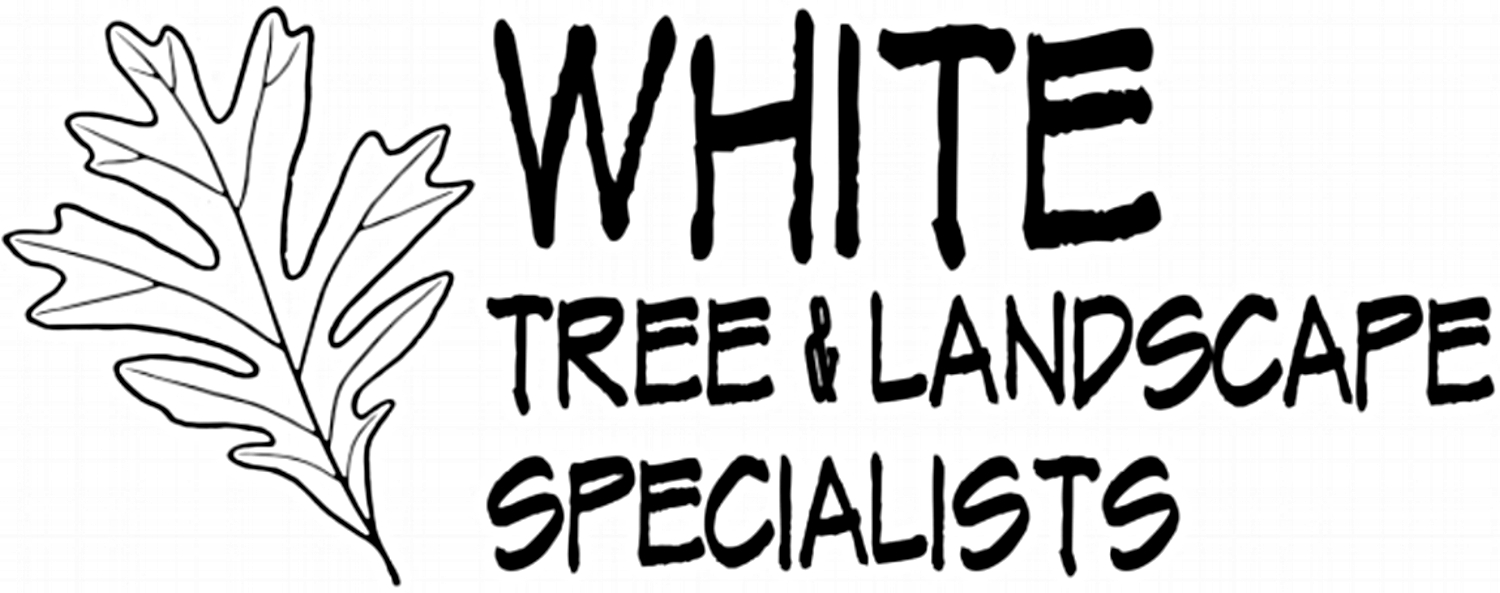 White Tree &amp; Landscape Specialists