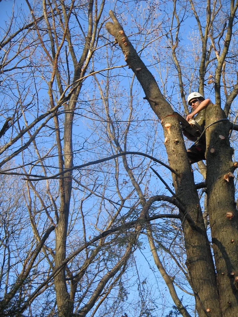 IMG_1240.JPG
