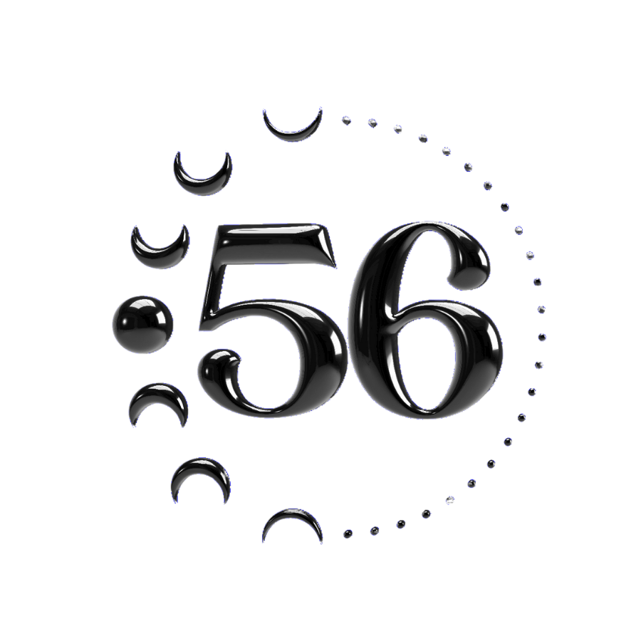 S85 Virginia 2025 Summer Tshirt Series Design.png