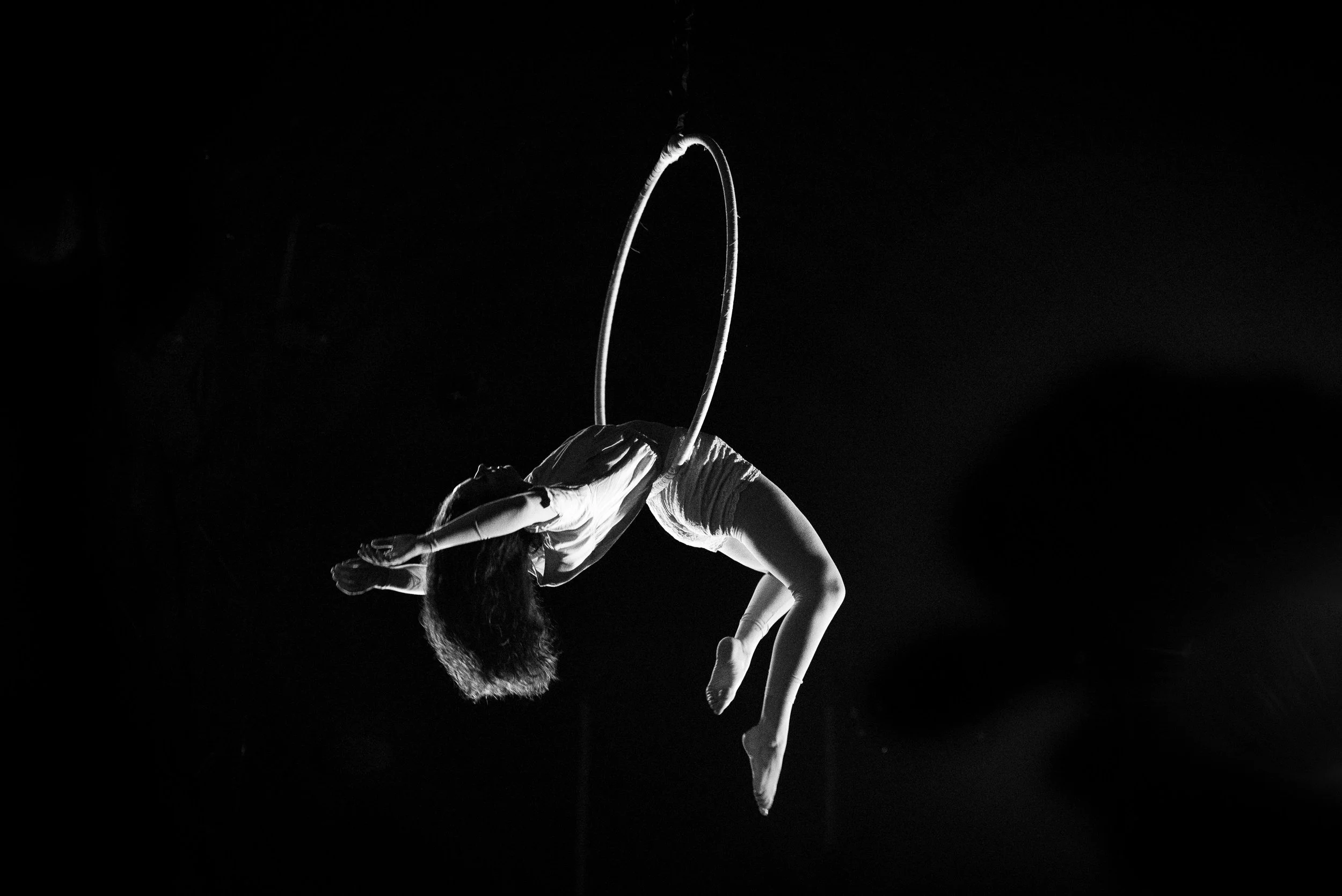 Home — Sara Greenberg