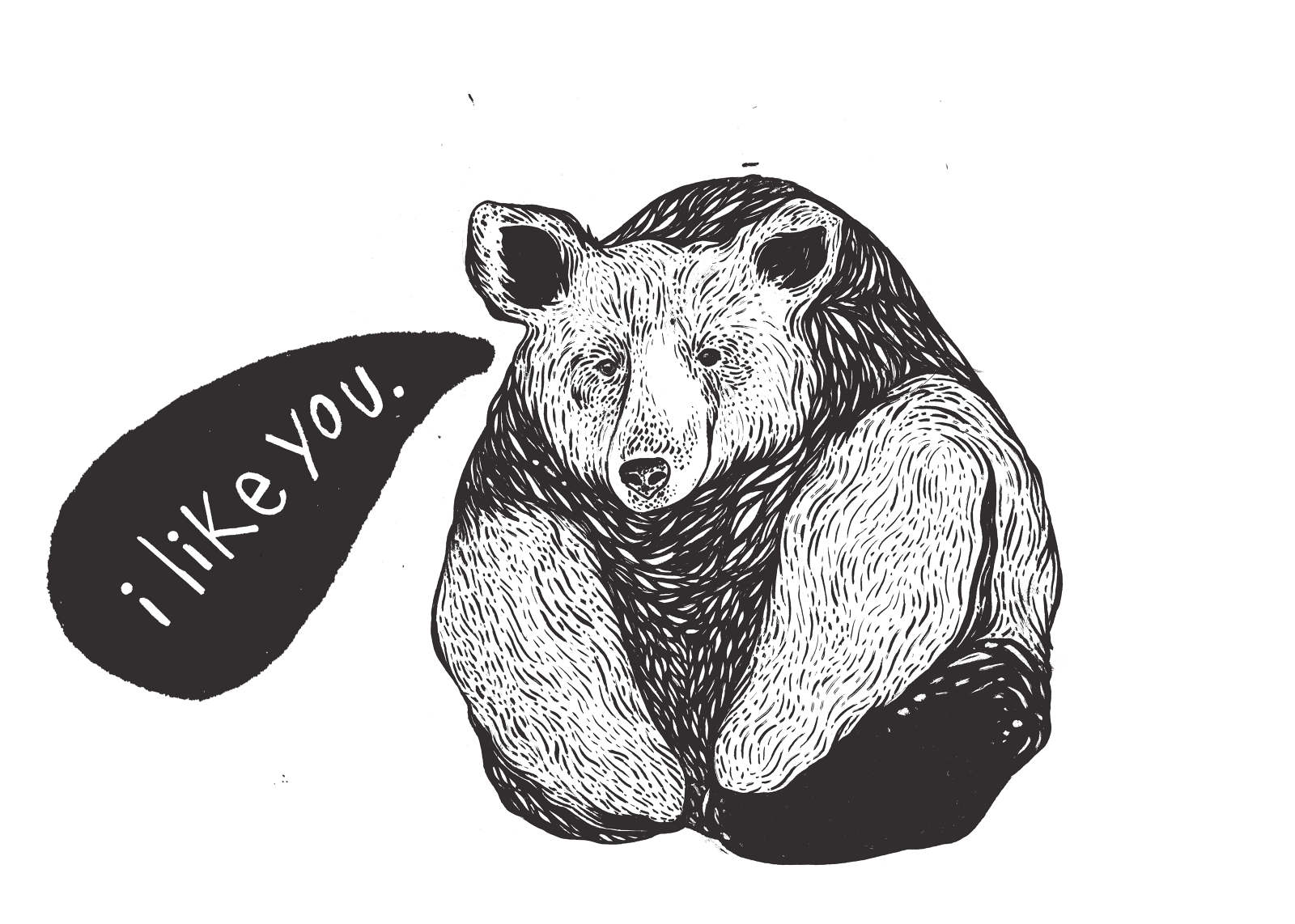 Bear Talk