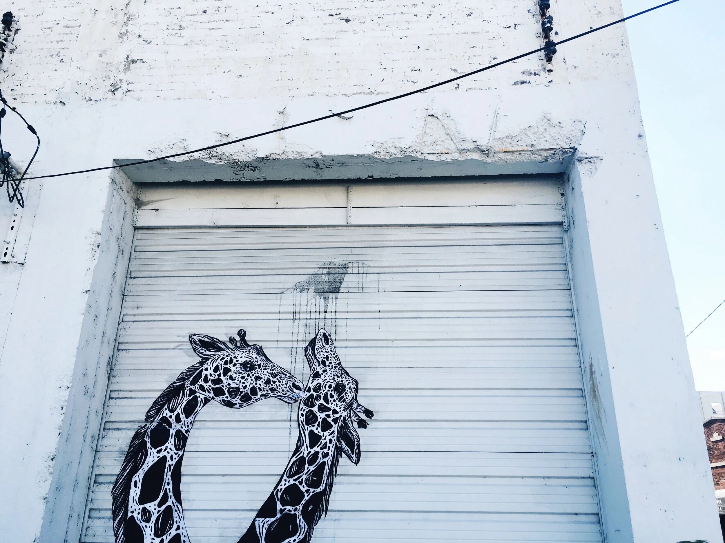  11th Ave, Nashville TN. 