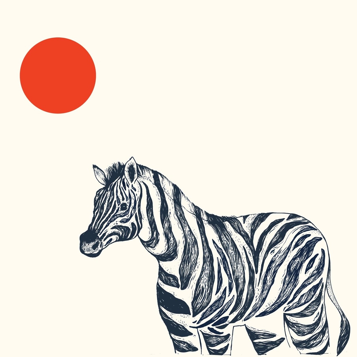 Zebra Stripe