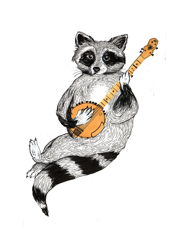 Raccoonbanjo.jpg