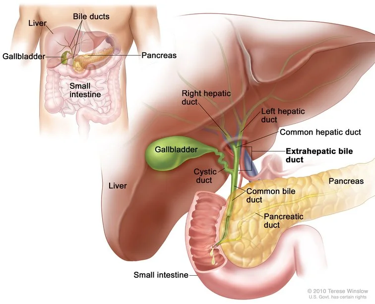 Gallbladder surgery.jpg