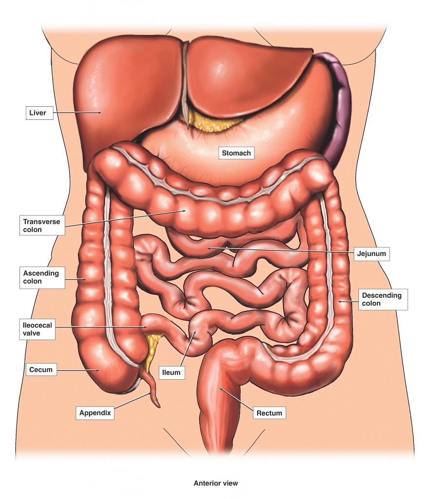 colonic surgery.png