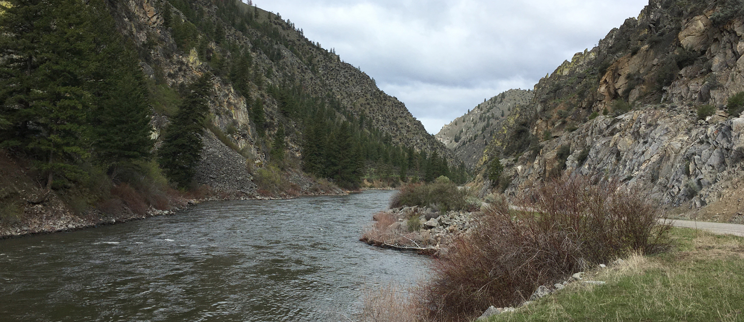 Main branch of the Salmon River, ID