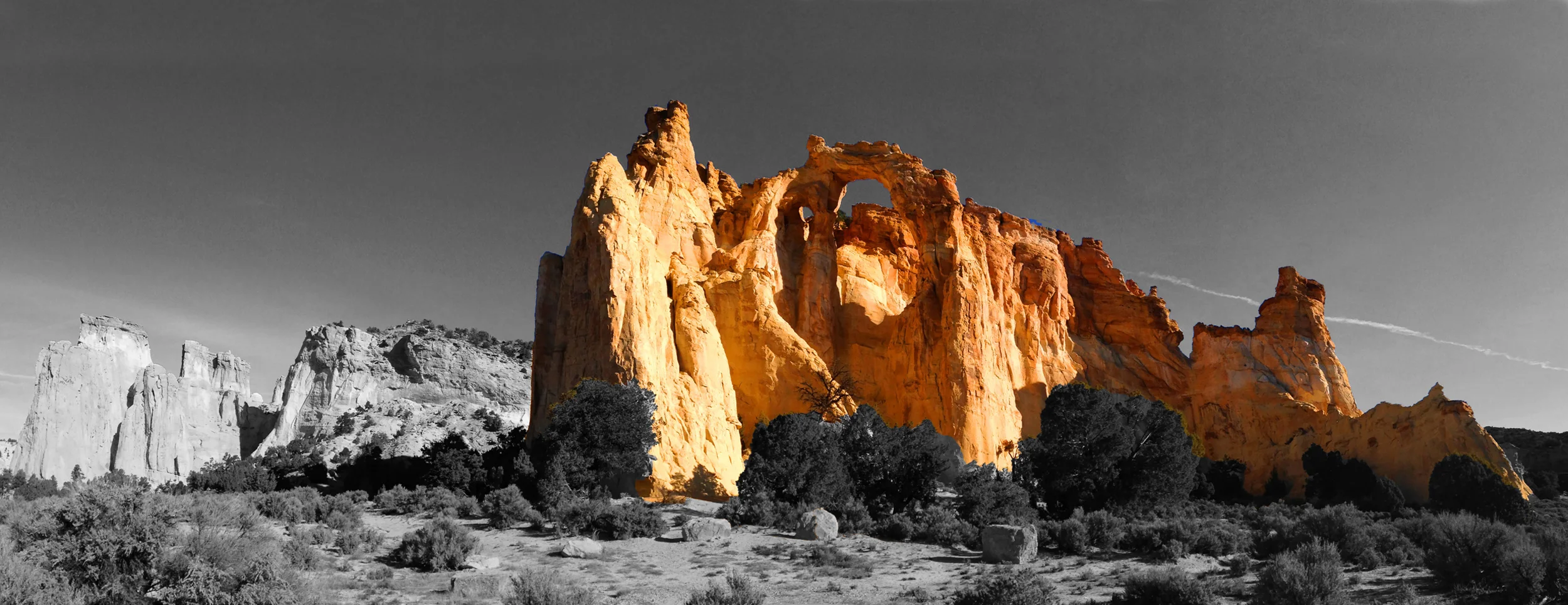 POCarchBanner.jpg