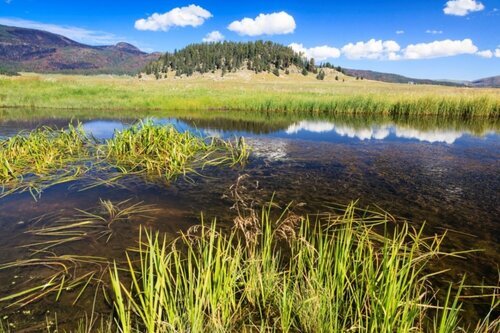 Virtual Public Meeting: Northern New Mexico Riparian, Aquatic, and Wetland Restoration Environmental Assessment, NM