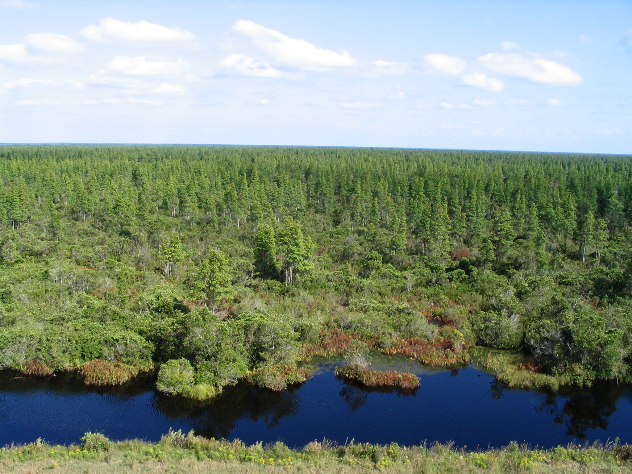 Live Facilitated Webinars: Draft Water Management Plan for the Pocosin Lakes National Wildlife Refuge, NC