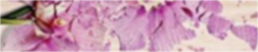 colleenhooverbanner .png