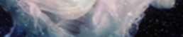 ejmellowthedreamer.png