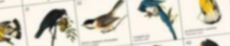 elizabethjchurchtheatomicweightoflove.png