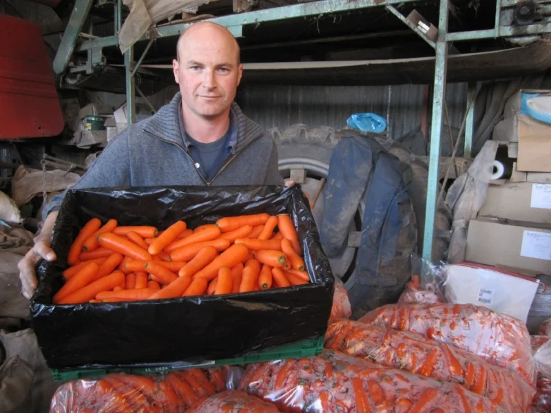   Zelp and Carrots Trial    (Oct 2013) 
