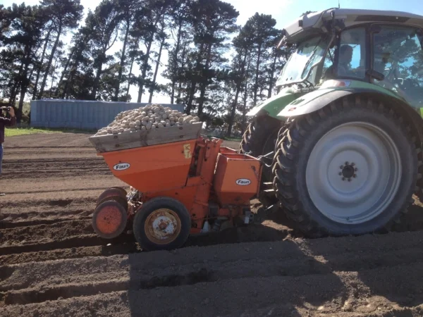   Zelp and Potatoes   (Feb 2014) 