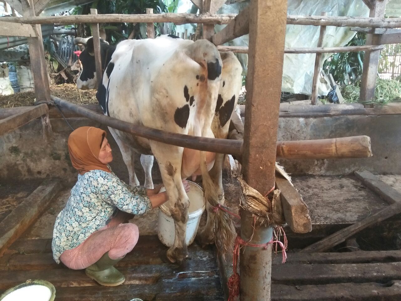 TKDK wanita di garut.jpeg