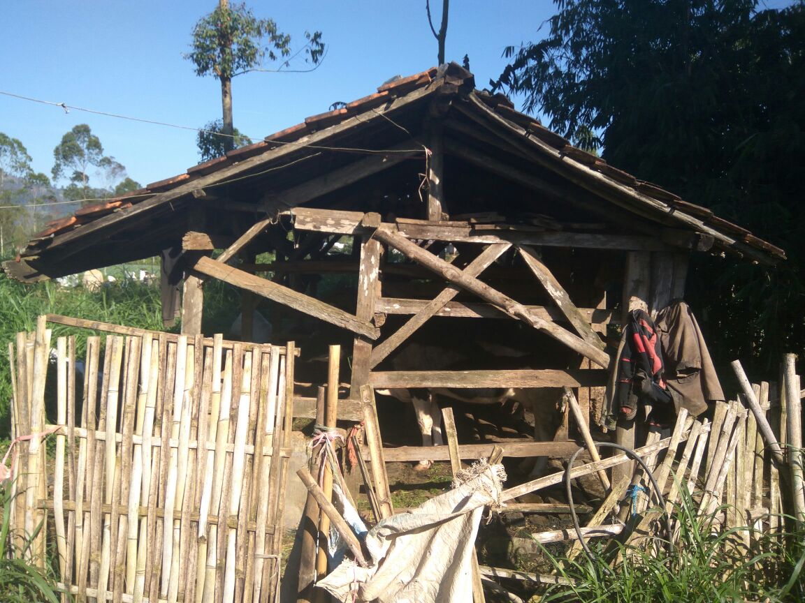 kandang di garut 2.jpeg