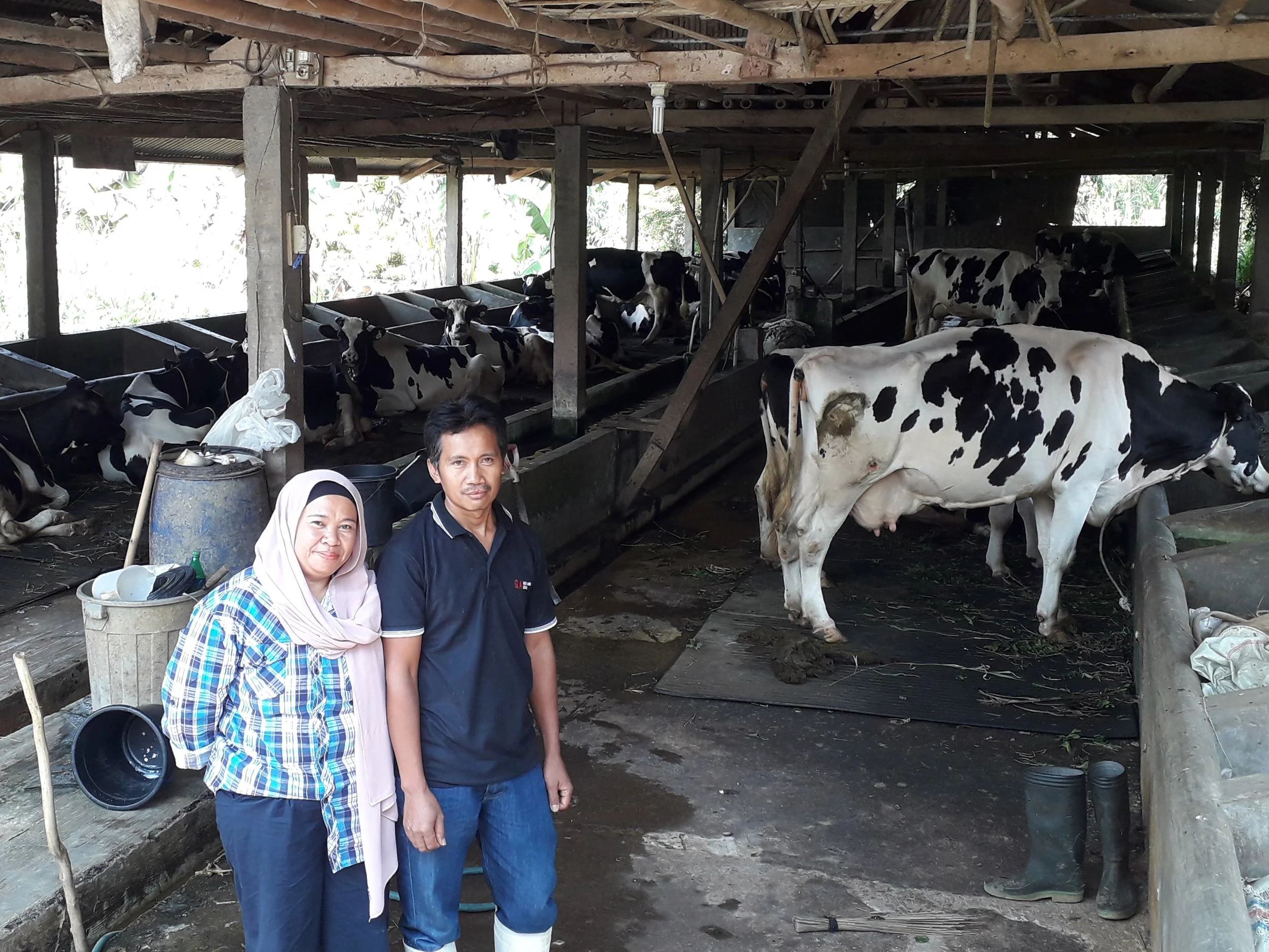 20190717_113916-edit.jpg