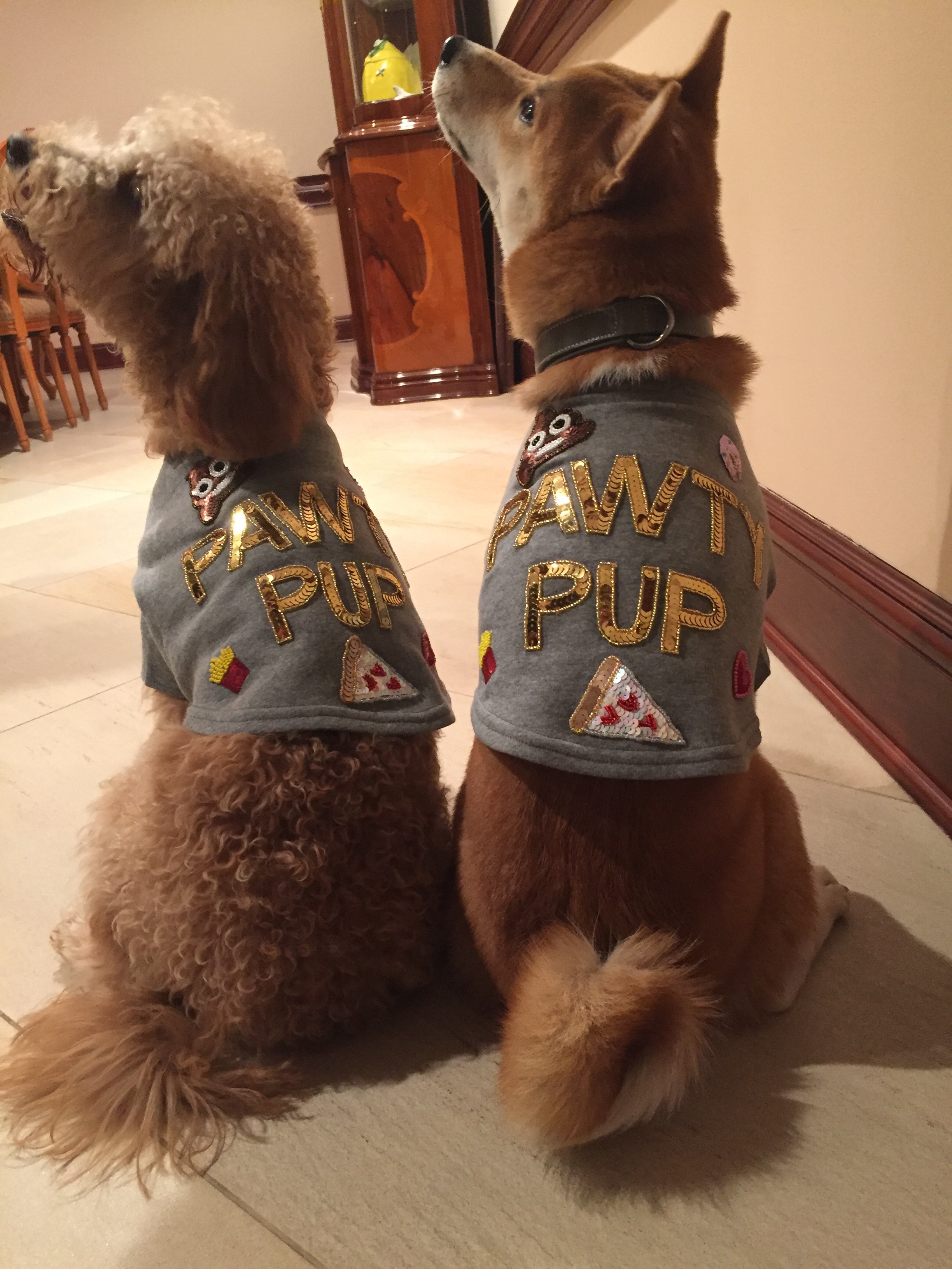 Bow and Drape Pet Sweatshirt; $39