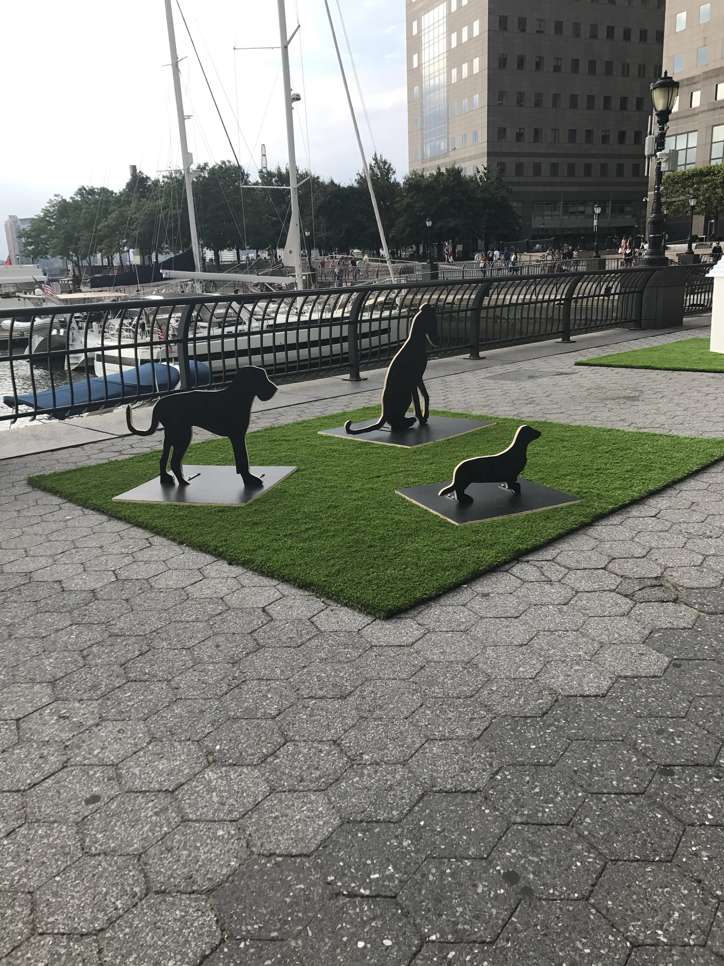 The Barking Project by Merav Ezer
