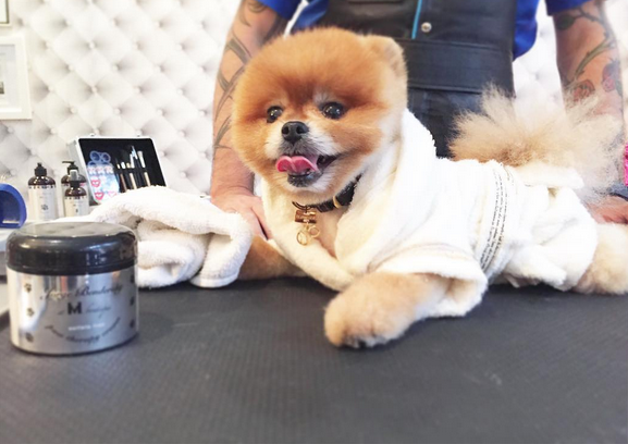 $46 Available at Fetch