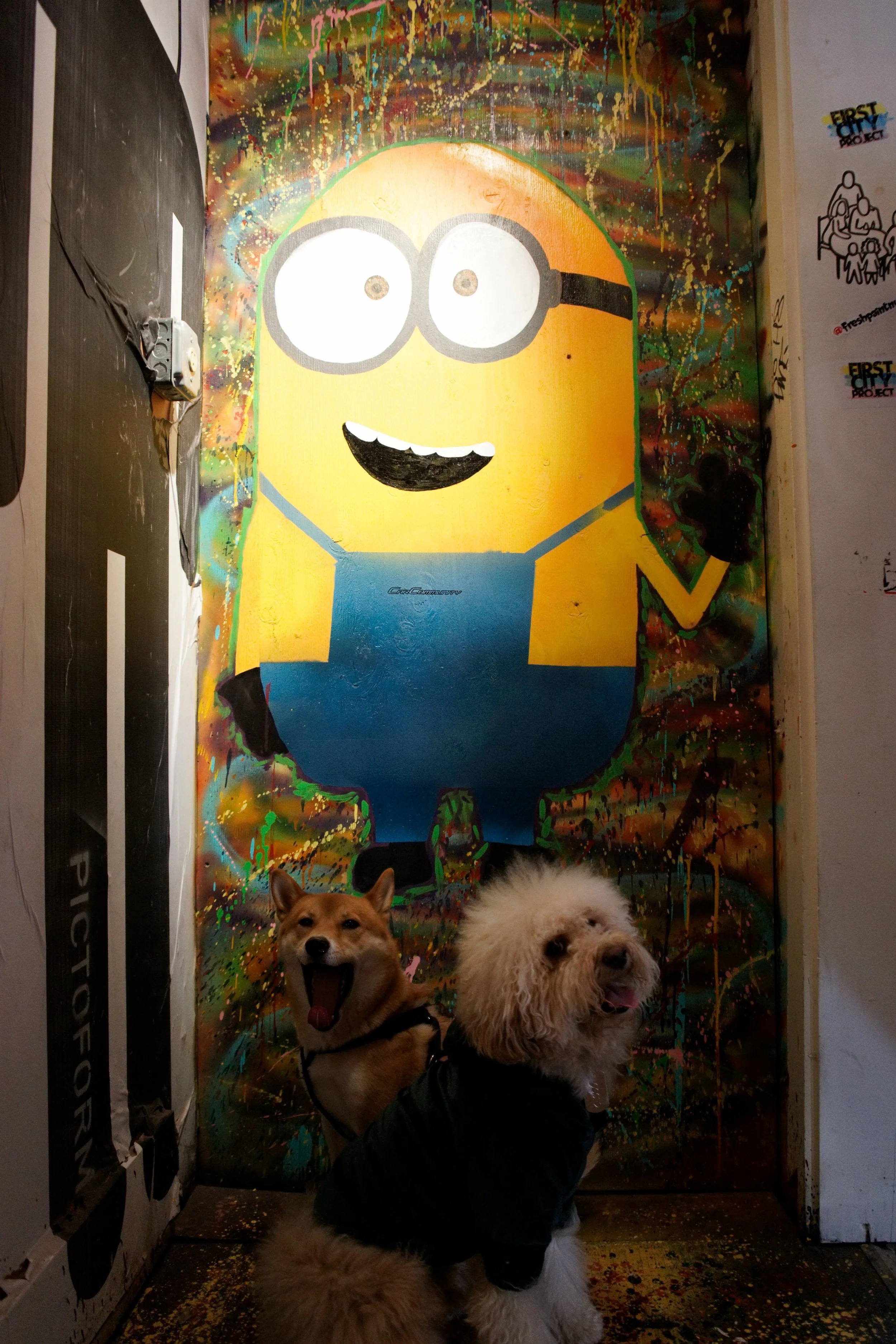 DSC02700.ARW.jpg