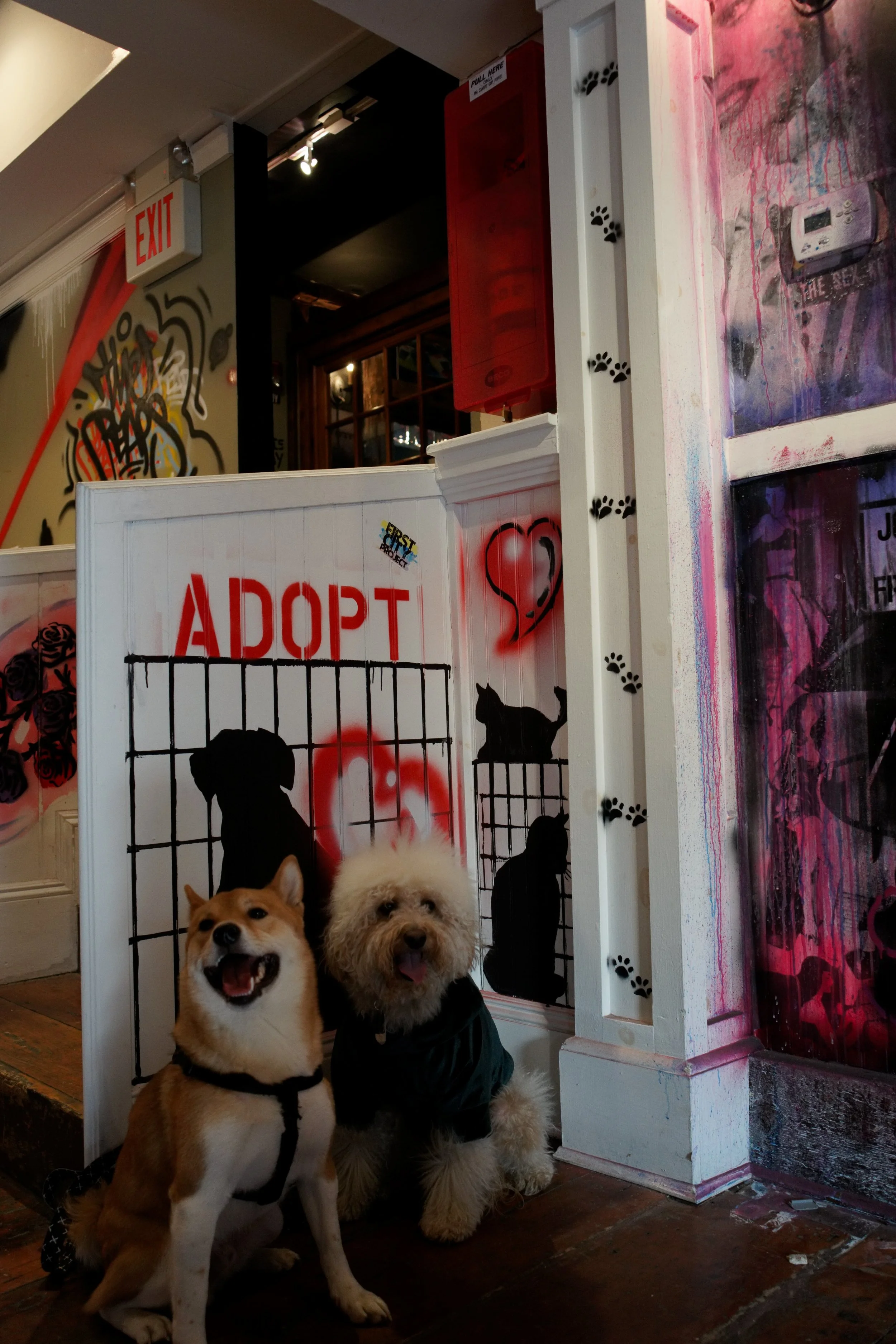 DSC02734.ARW.jpg