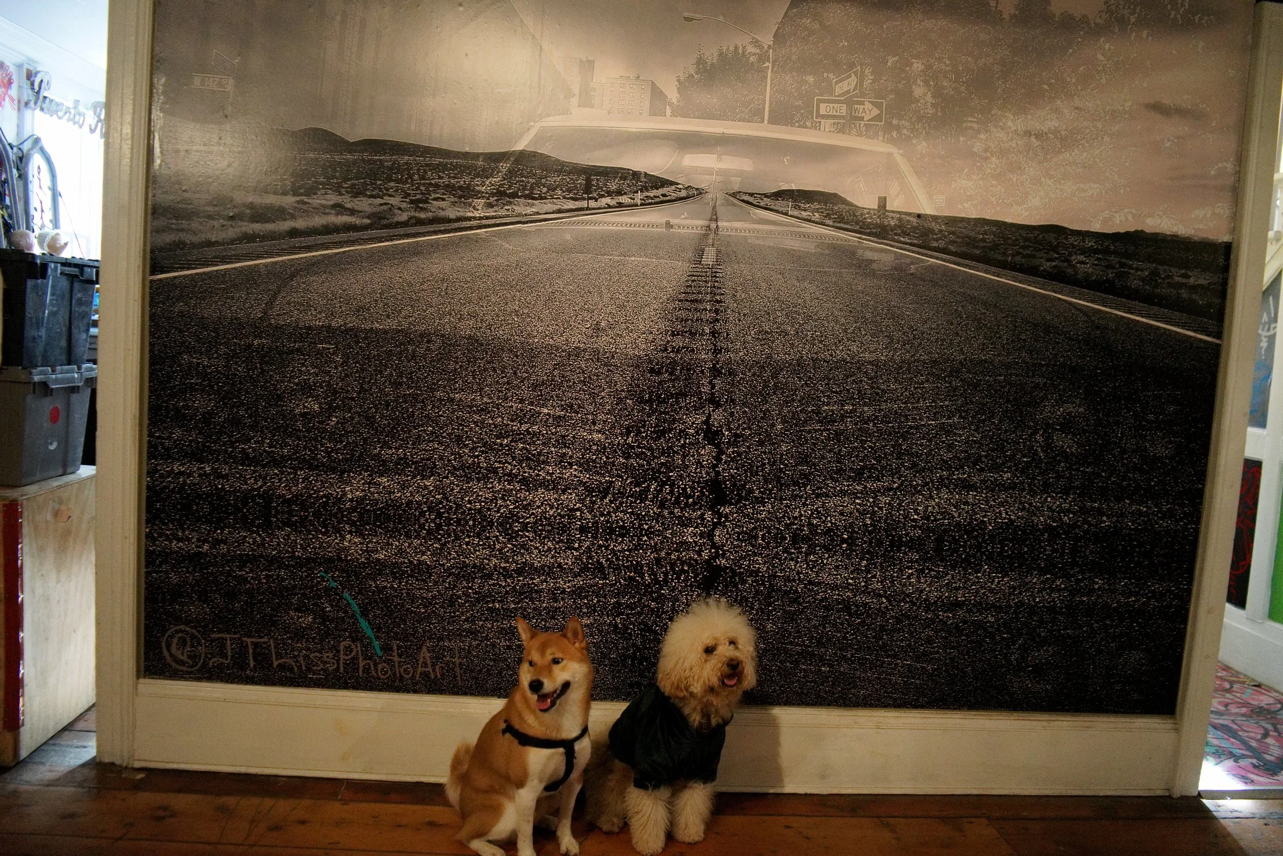 DSC02757.ARW.jpg