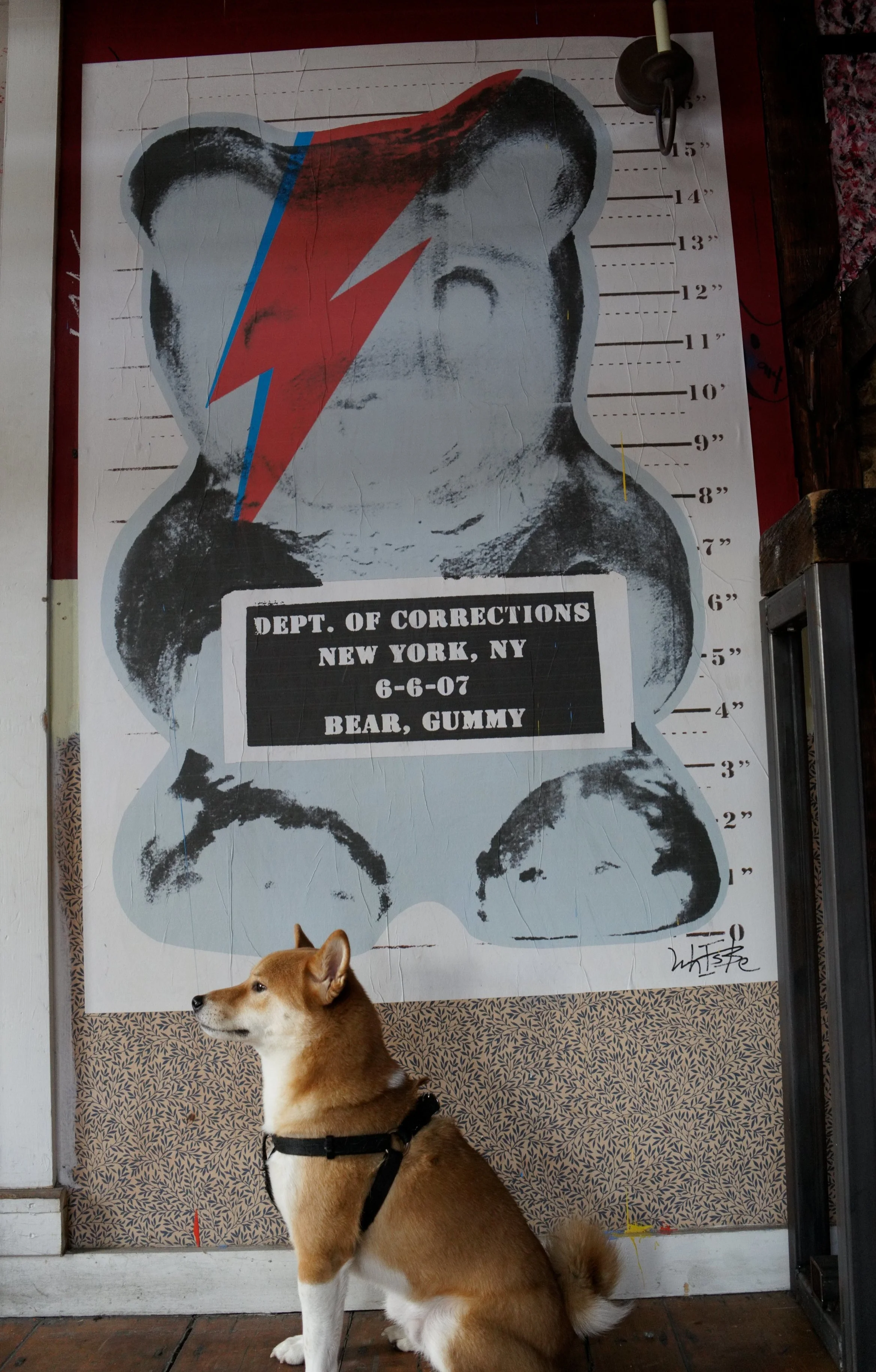 DSC02771.ARW.jpg