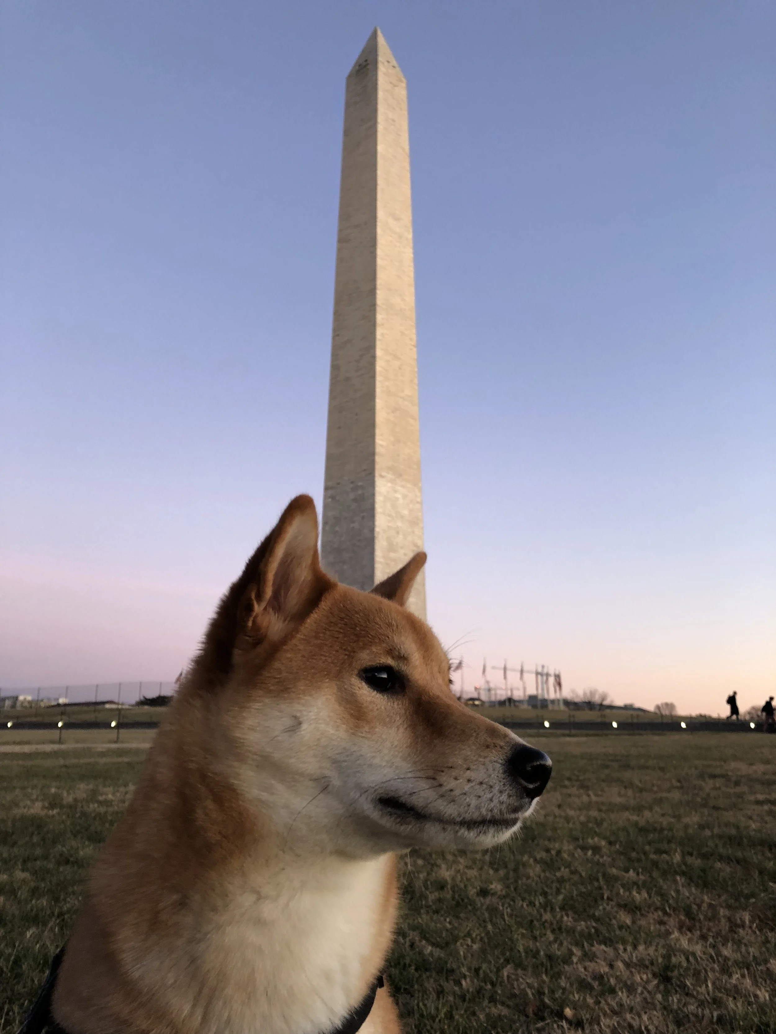 IMG_0377.jpeg