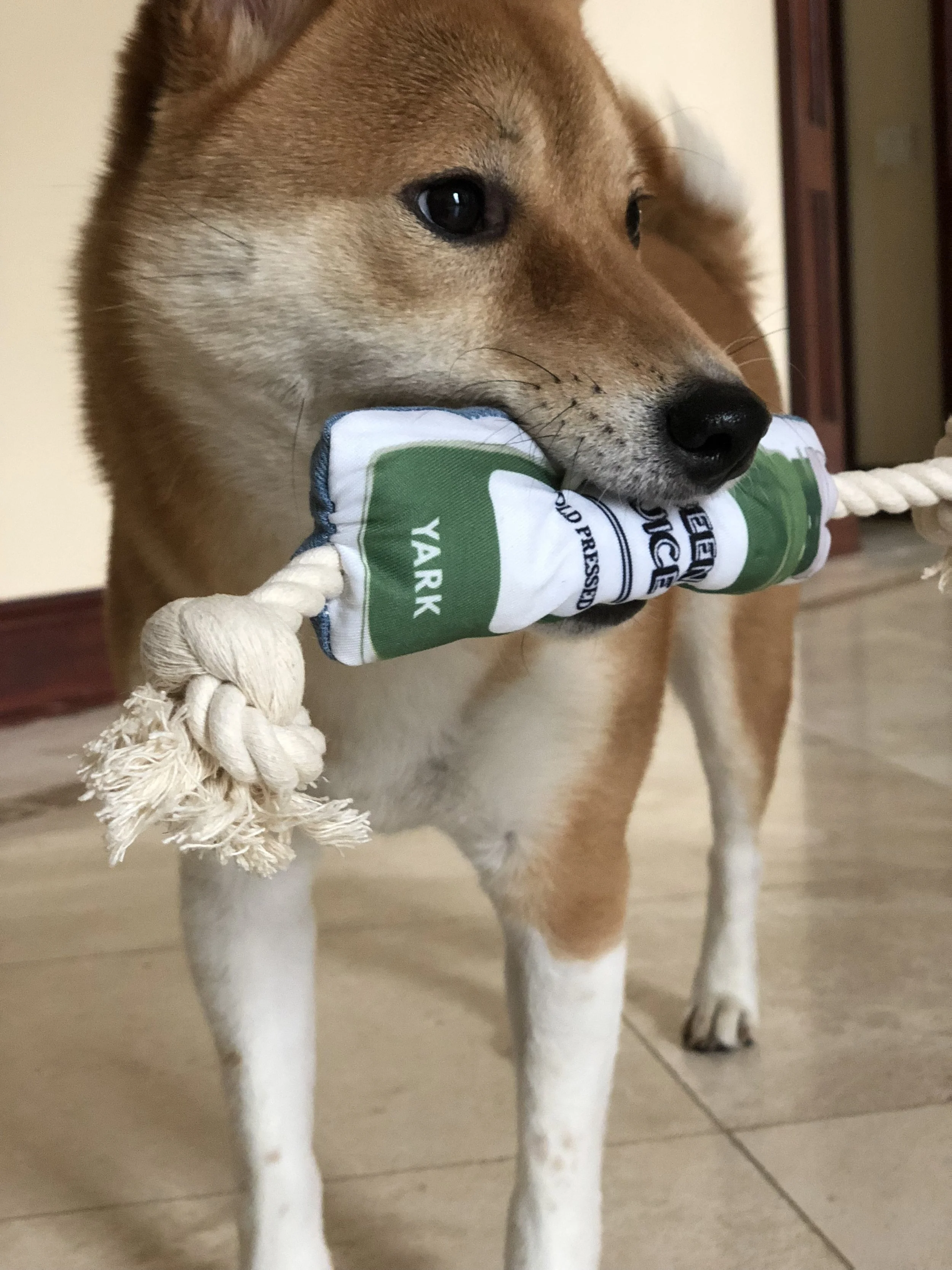 IMG_2482.jpeg