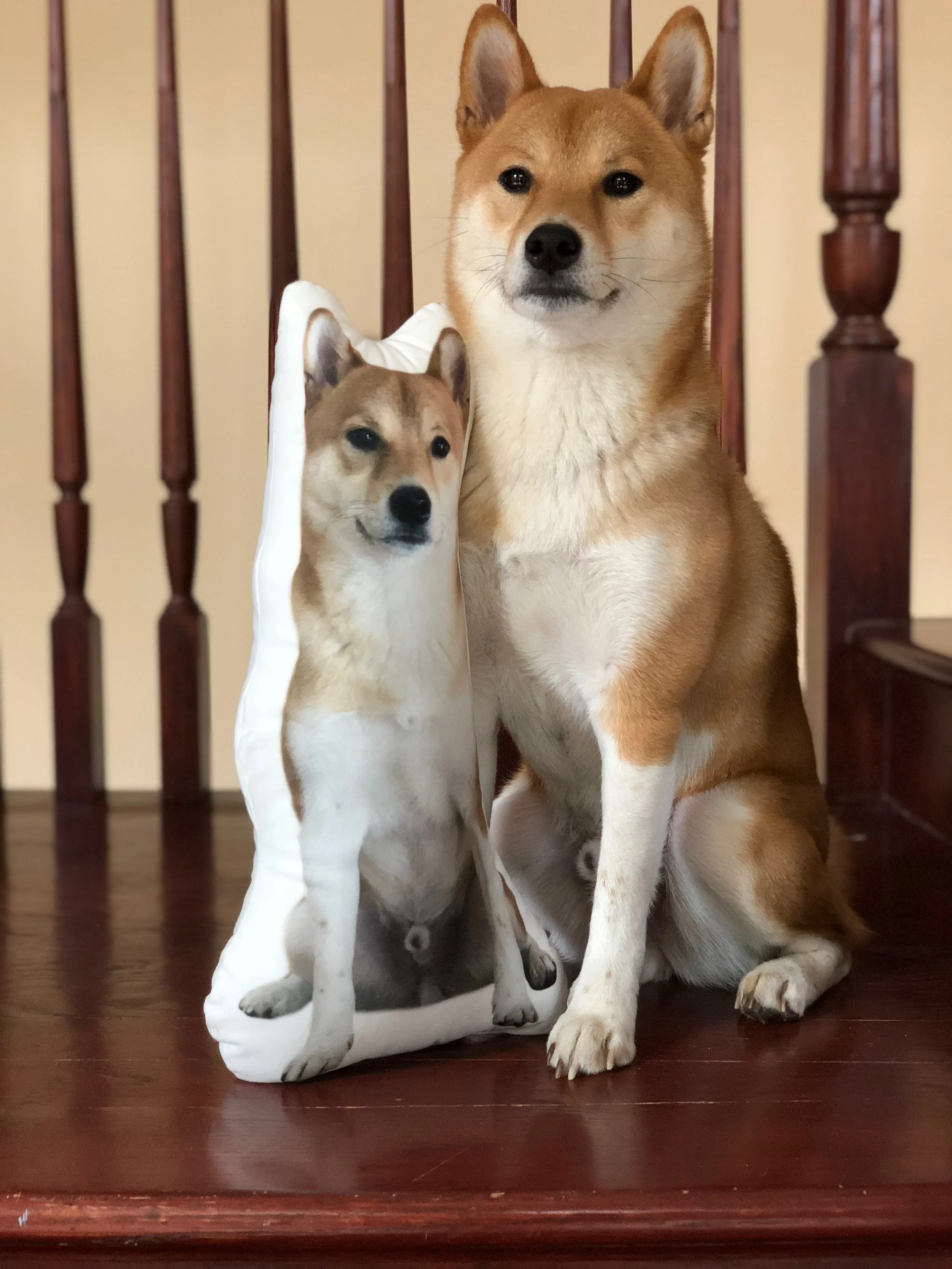 IMG_2609.jpeg