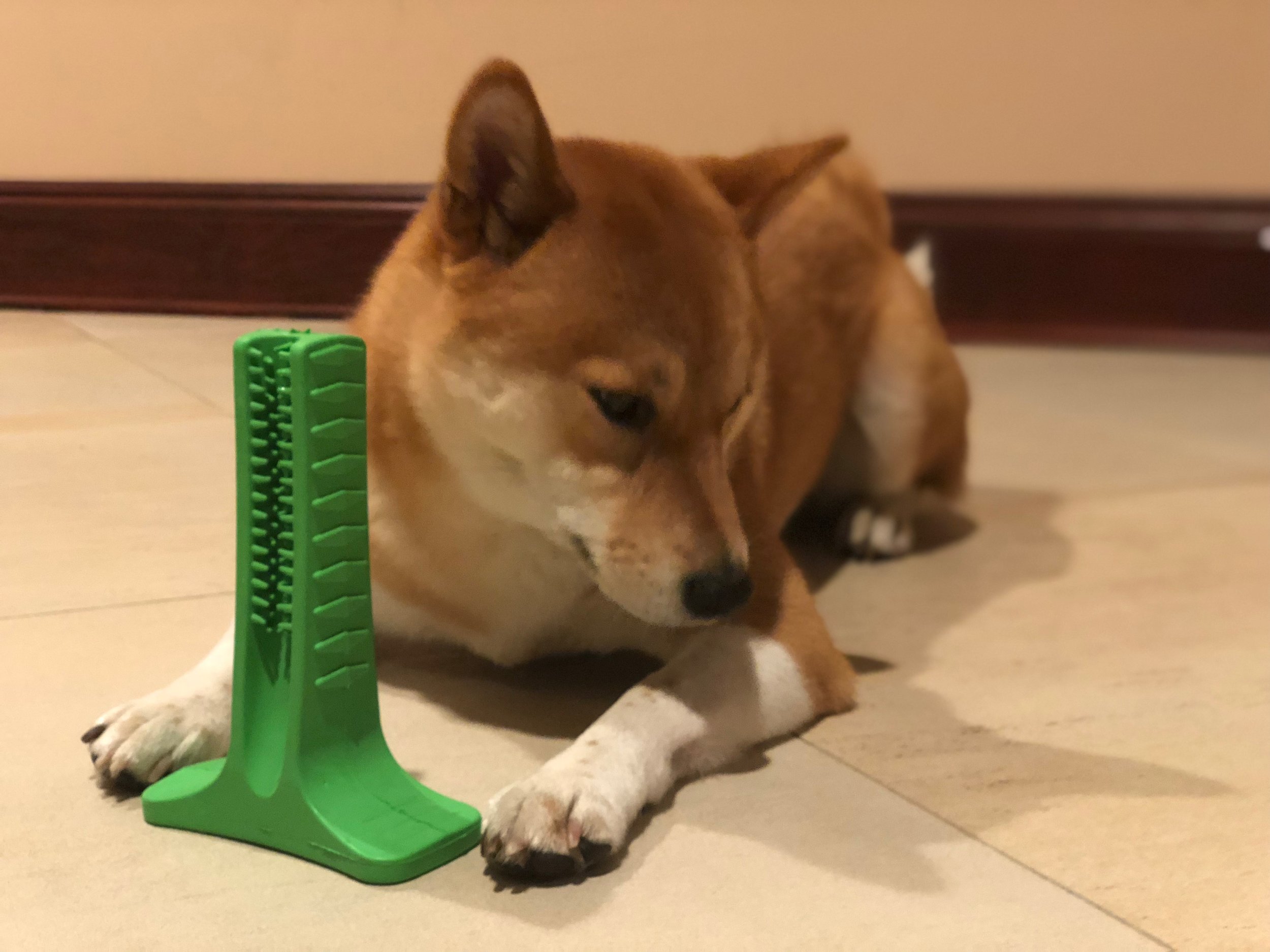 FullSizeRender-2.jpeg