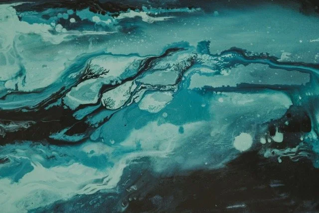 DSC00292 Medium.jpeg