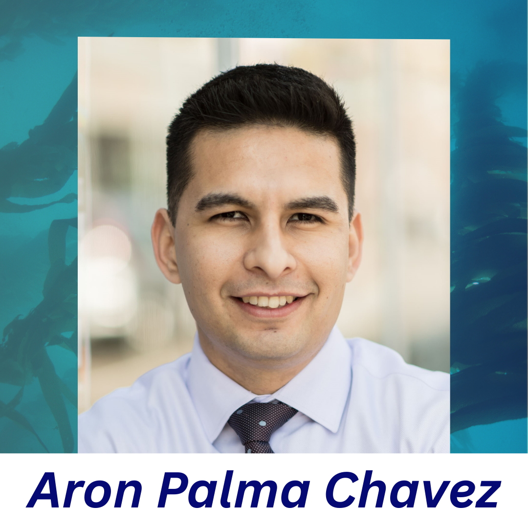 Aron Palma Chavez.png
