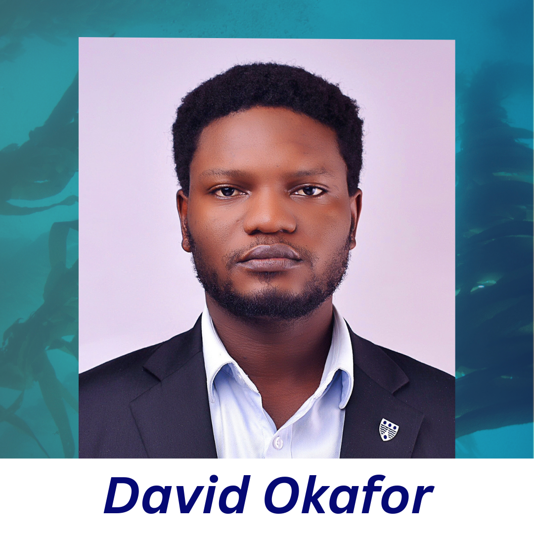 David Okafor.png