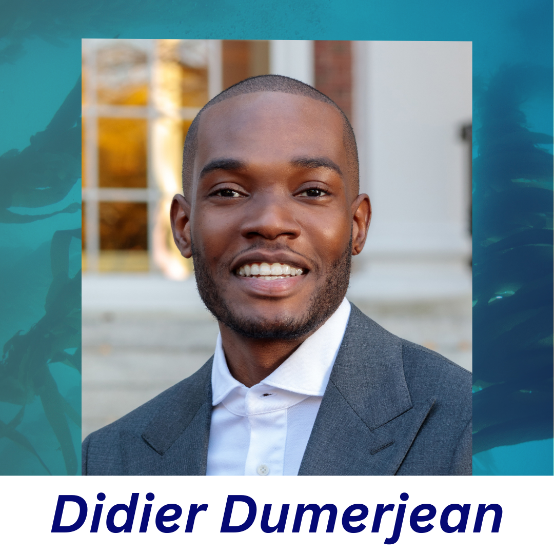 Didier Dumerjean.png