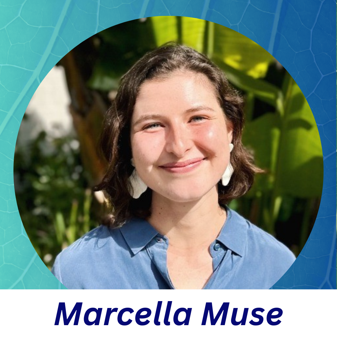 Marcella Muse.png
