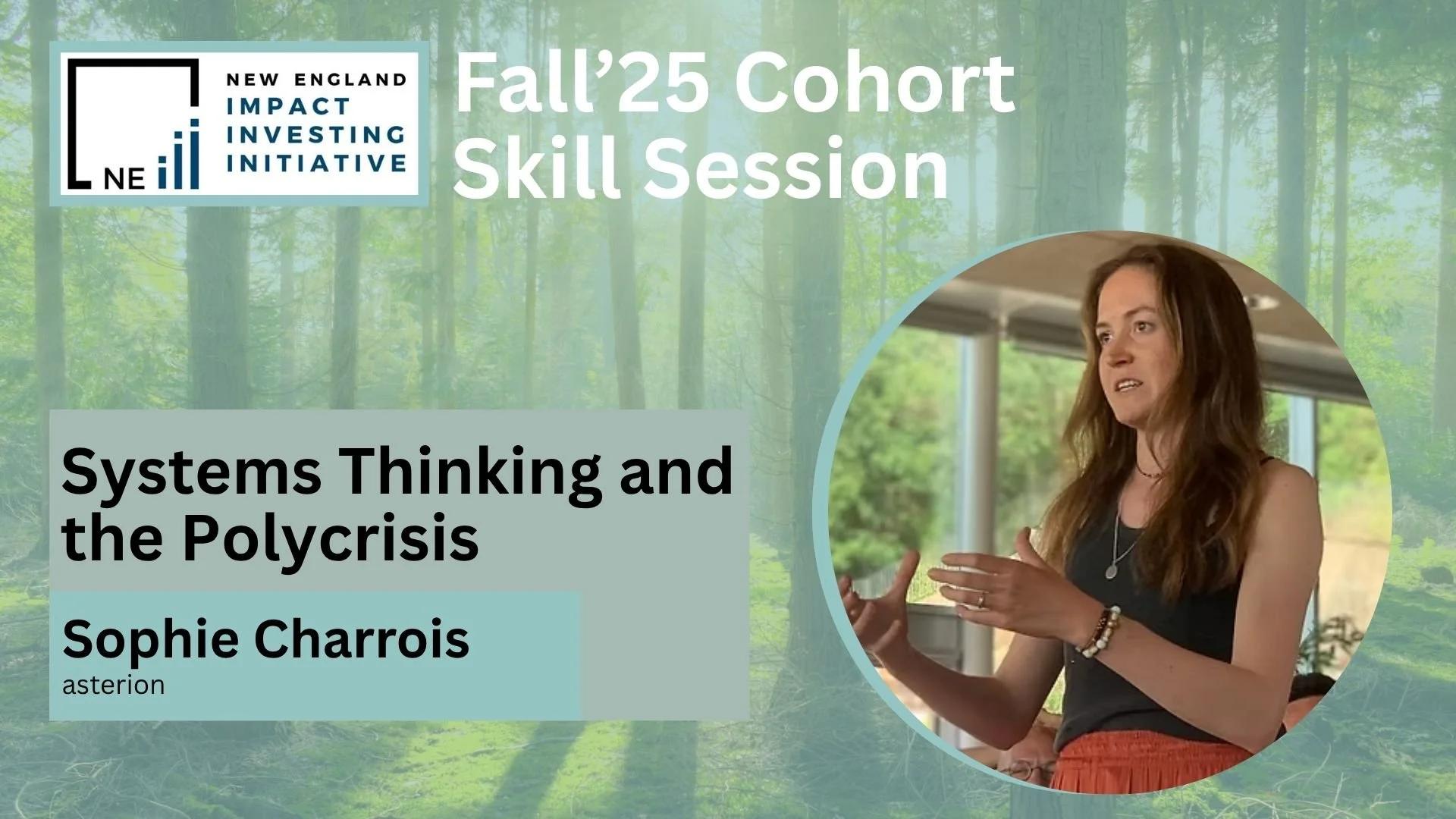 8. Sophie Charrois.jpg